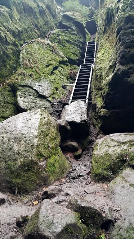 Gaestehaus Stadtschaenke Liebstadt エクステリア 写真